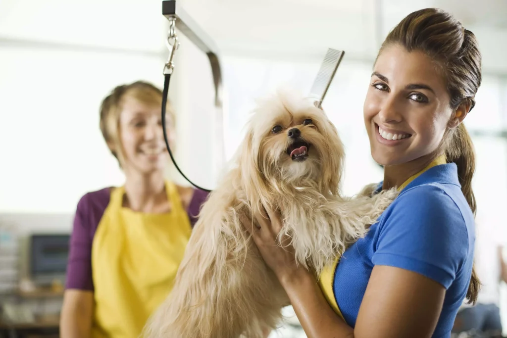 What to Expect at Your Dog’s First Grooming Appointment (Robbinsdale Dog Owners’ Guide)